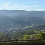 מלון Logis Restaurant Panorama 3*
