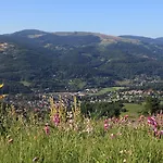 Logis Restaurant Panorama 3*