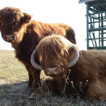 Logis Restaurant Panorama Hotel 3*