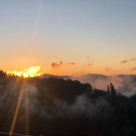 Logis Hotel Restaurant Panorama Munster (Haut-Rhin)