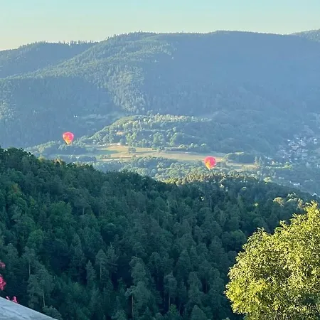 Logis Restaurant Panorama Hotel Munster (Haut-Rhin)