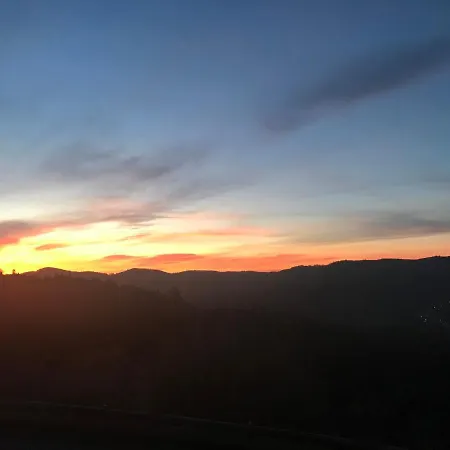 Logis Hotel Restaurant Panorama Munster (Haut-Rhin)