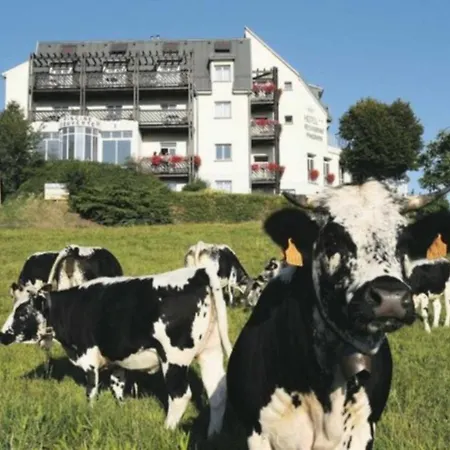 Hotel Logis Restaurant Panorama Munster (Haut-Rhin)