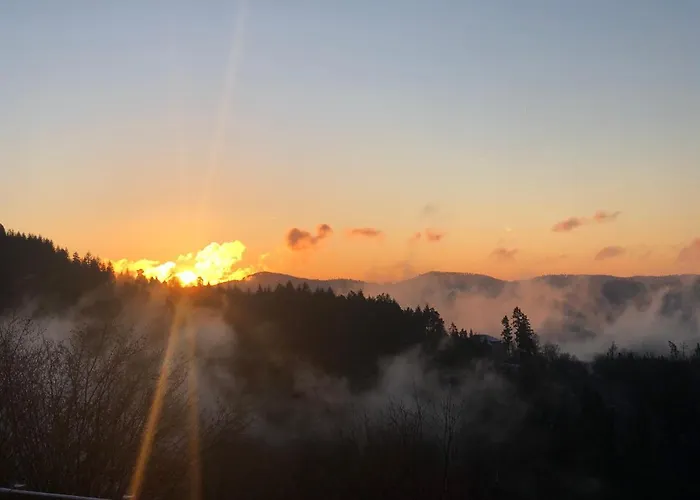 Logis Hotel Restaurant Panorama Munster (Haut-Rhin)
