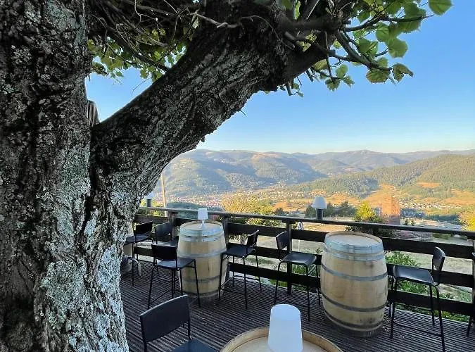 Logis Hotel Restaurant Panorama Munster (Haut-Rhin)