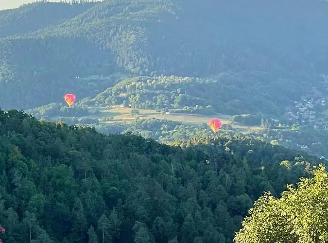 Logis Restaurant Panorama Hotel Munster (Haut-Rhin)