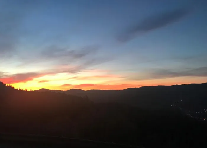 Logis Restaurant Panorama Munster (Haut-Rhin)