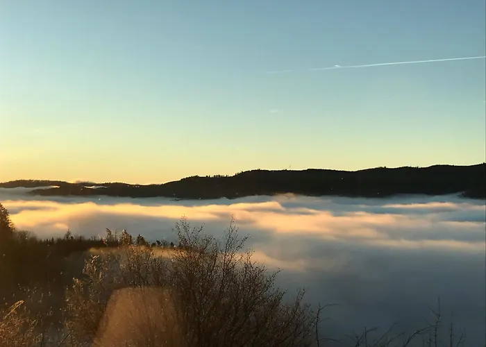 Hotel Logis Restaurant Panorama 3*