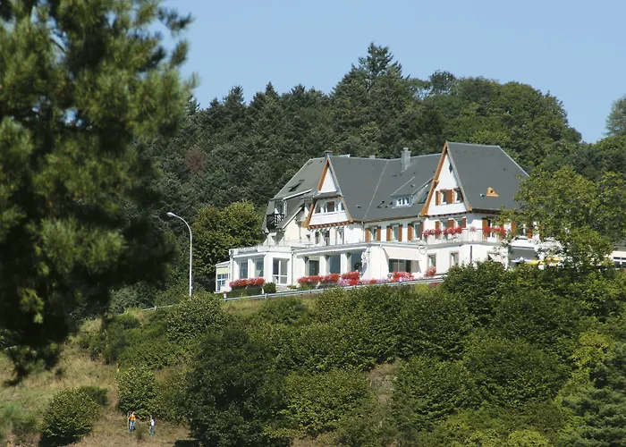 Logis Hotel Restaurant Panorama Hotel