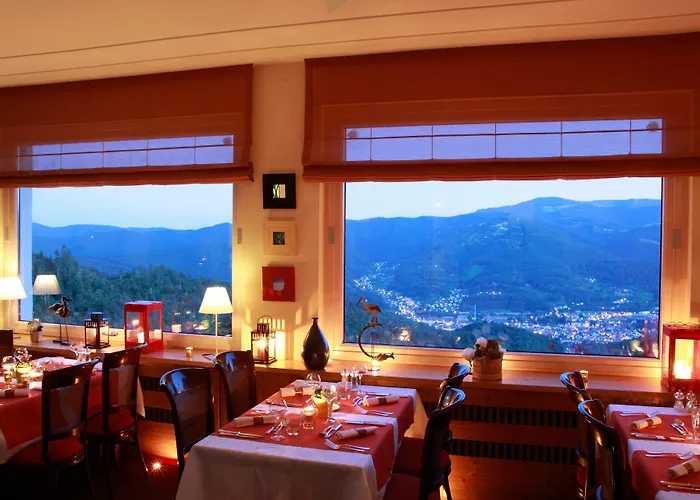 Logis Restaurant Panorama 3* Munster (Haut-Rhin)