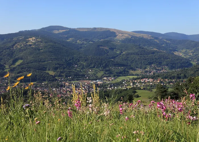 Logis Hotel Restaurant Panorama 3*