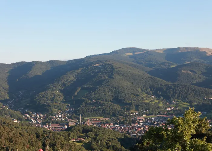 Logis Restaurant Panorama Munster (Haut-Rhin)