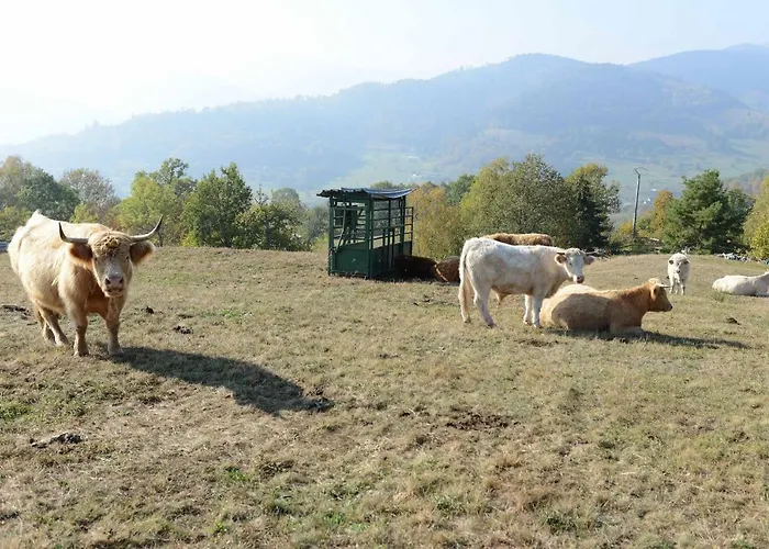 Logis Hotel Restaurant Panorama 3*