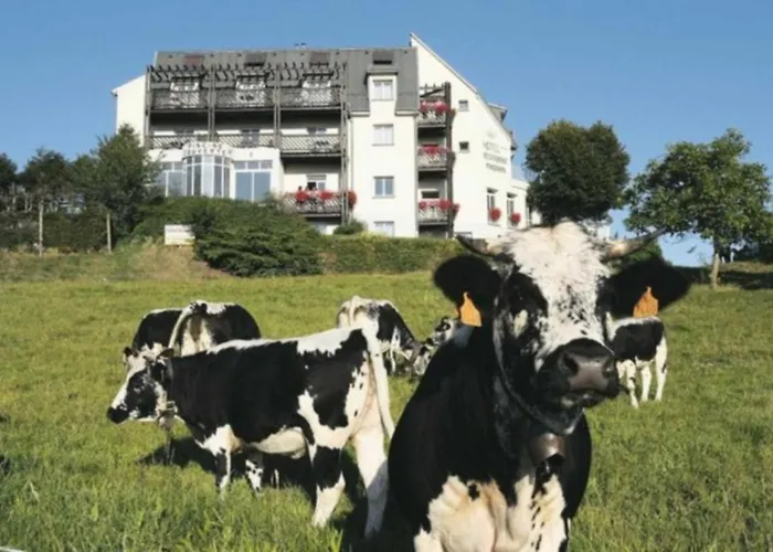 Hotel Logis Restaurant Panorama Munster (Haut-Rhin)